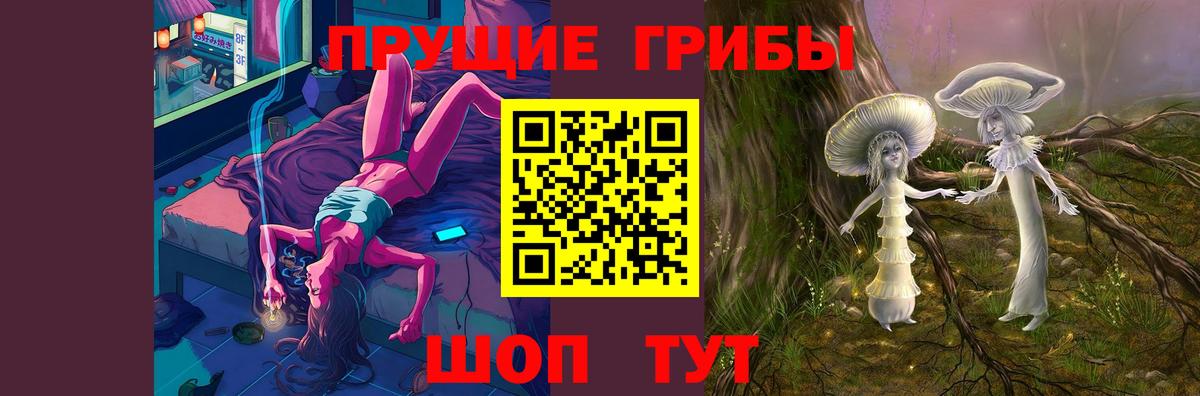 Галлюциногенные грибы Psilocybe Кимовск